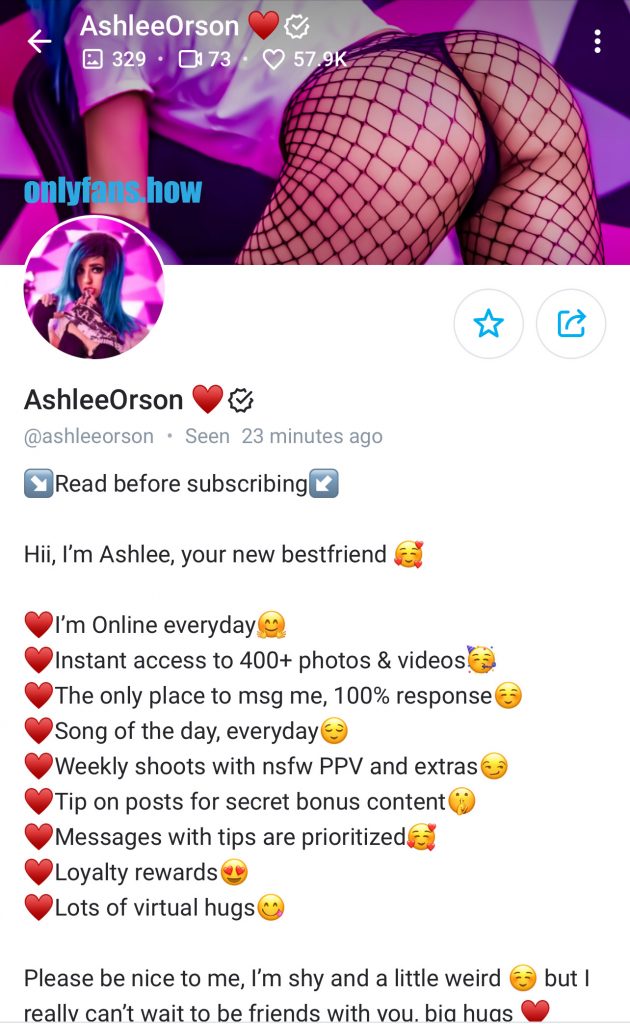 Configuração correta do perfil no OnlyFans - Guias OnlyFans